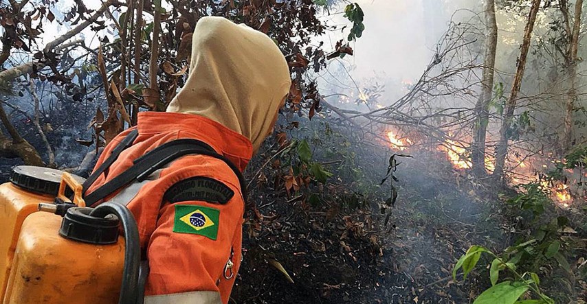 Human Rights Watch: Više od 300 ljudi ubijeno u Amazoniji zbog krčenja šuma